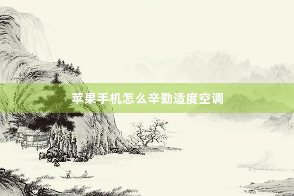 苹果手机怎么辛勤适度空调