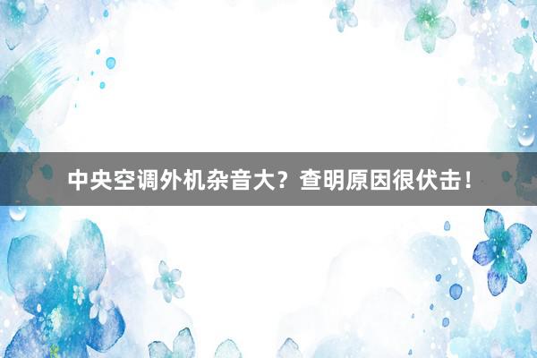 中央空调外机杂音大？查明原因很伏击！